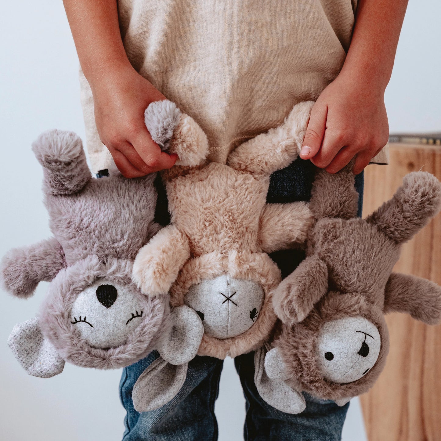 Morton Koala