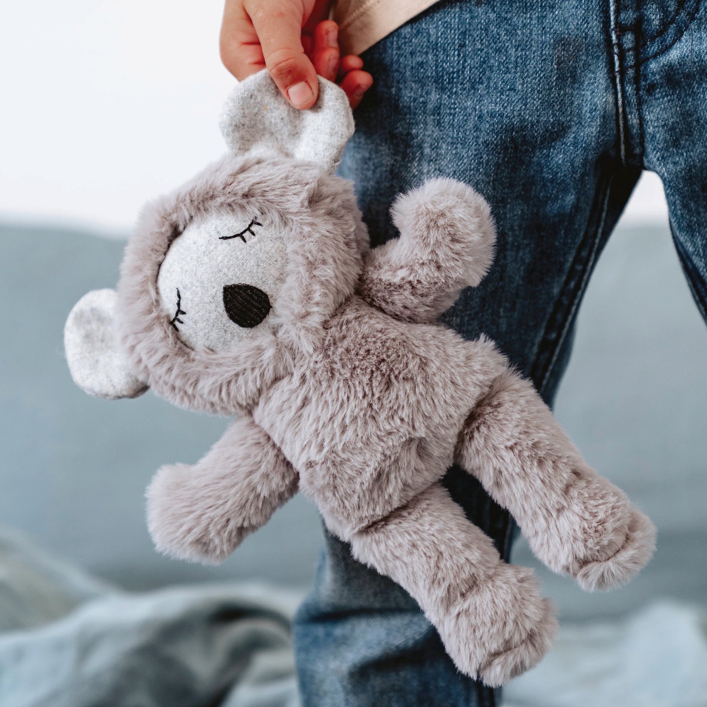 Morton Koala