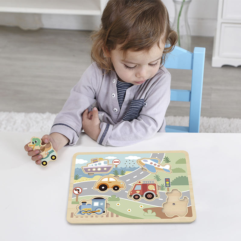 Wooden Puzzle Toy