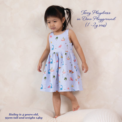 French Terry Dress - Dino Playground